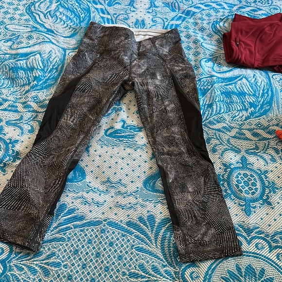 Crop 23” - Picture 3 of 6